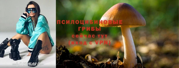 герыч Горняк