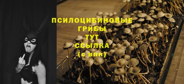 первитин Горнозаводск